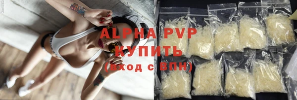 прущие грибы Магадан