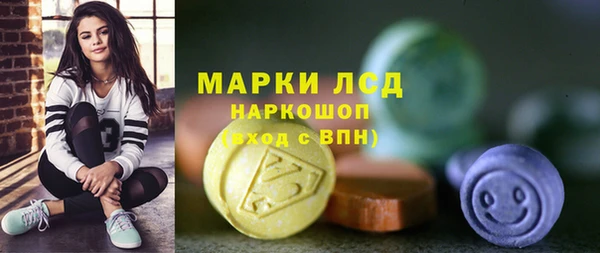 прущие грибы Магадан