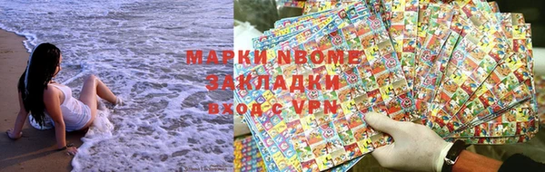 хмурый Магас