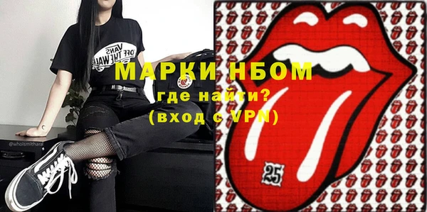 хмурый Магас