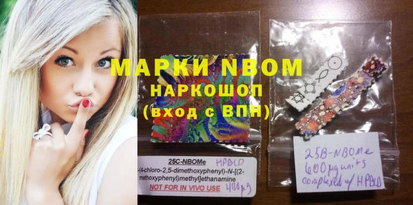хмурый Магас