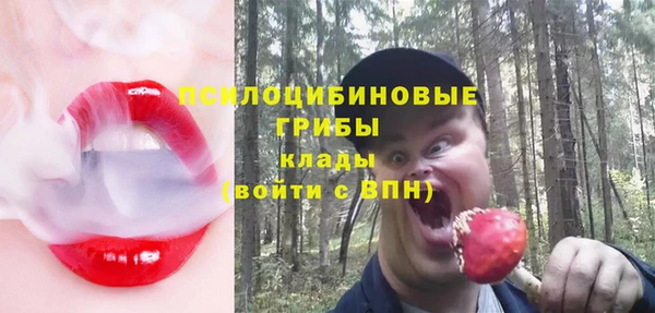 хмурый Магас