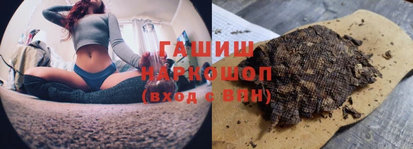 прущие грибы Магадан