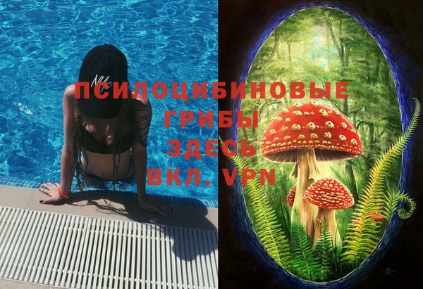 хмурый Магас