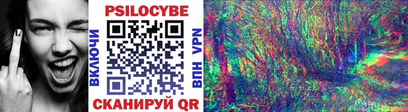 Псилоцибиновые грибы MAGIC MUSHROOMS Купить закладки Копейск